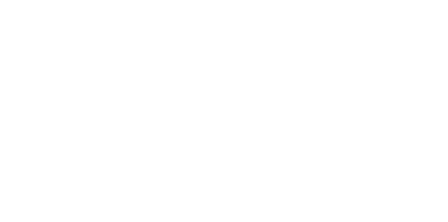 ThunderLogo